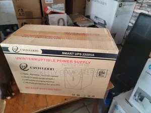 Ever Good Ups 2200va