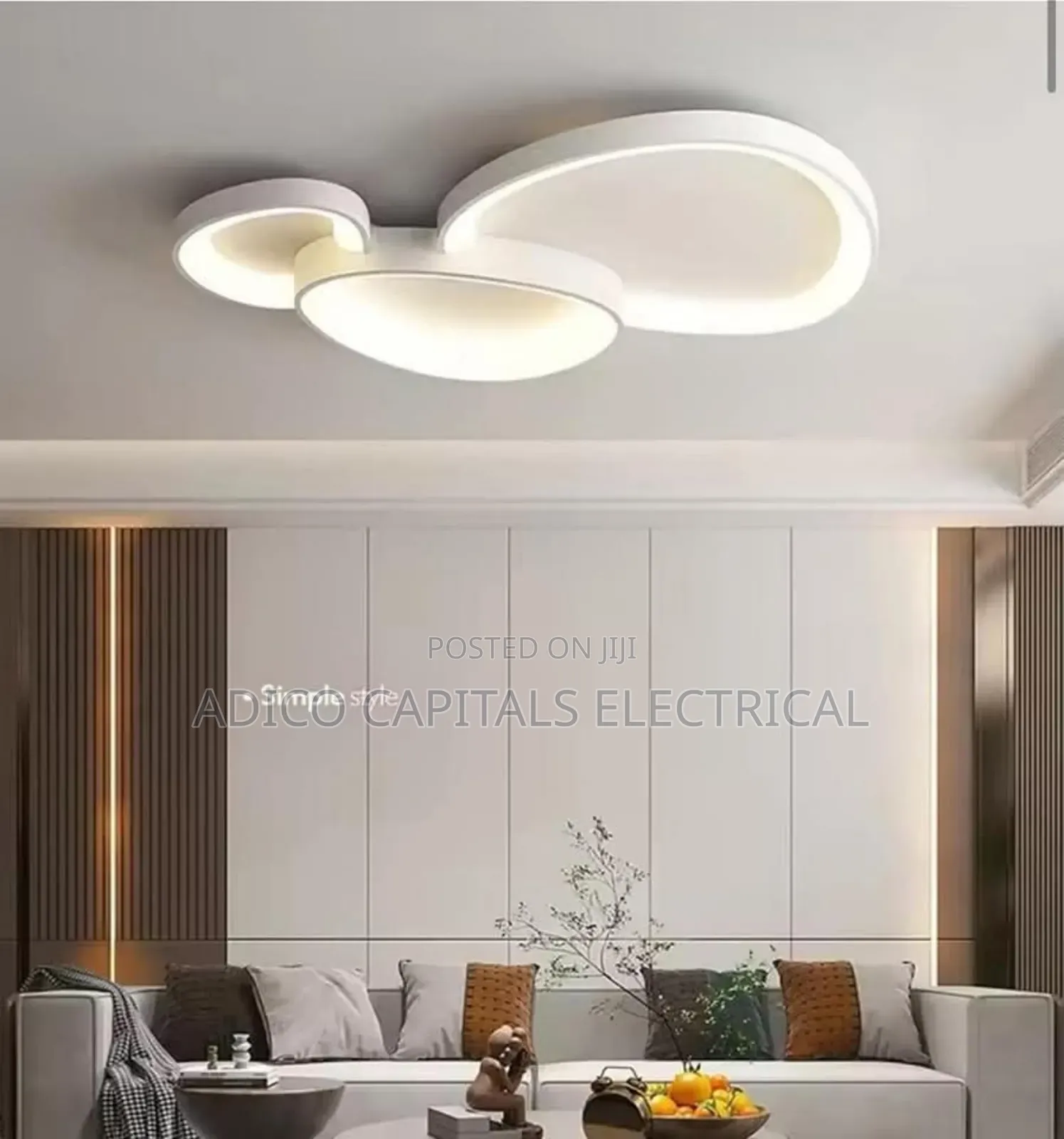 Led Ceiling Light With a Remote Control