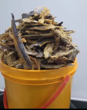 Sales Of Fresh N Oven Dried Seafoods N Other Foodstuffs