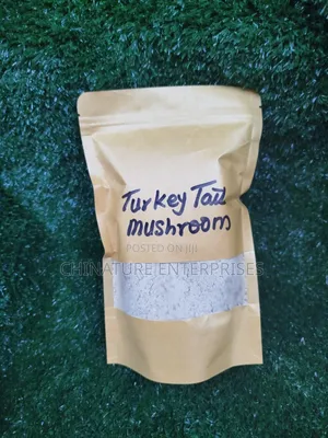 Turkey Tail Mushroom Powder 100g