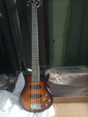 Professional Bass Guitar 5 Strings