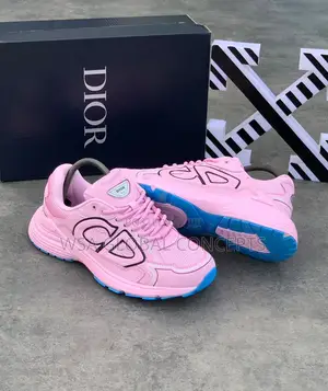 Christain Dior B30 Pink Blue Sole Sneakers