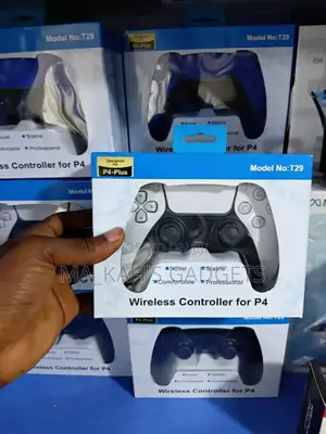 Ps4 Pad (Controller)