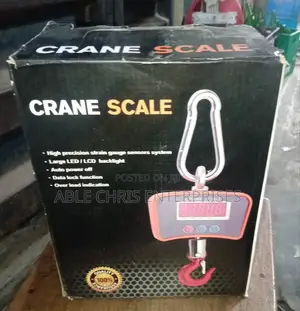 500kg Crane Scale