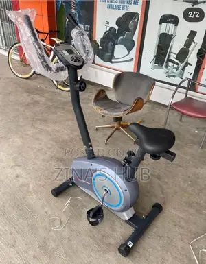 Upright Semi Commercial Bike