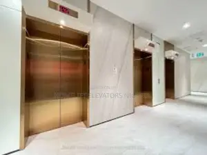 House Hold Lifts Wells Elevator Passenger Lift Price Small