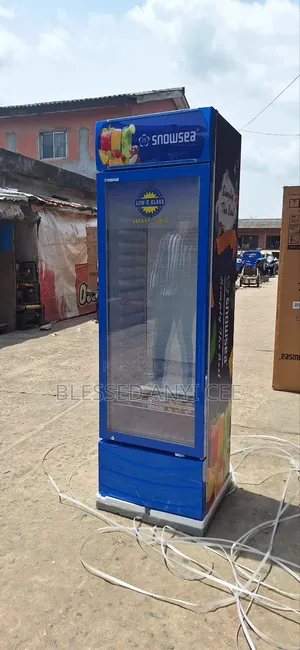 New Snowsea 400l Display Chiller Single Door for Business