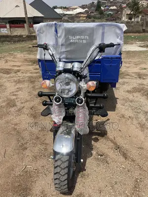 New Tricycle 2024 Blue