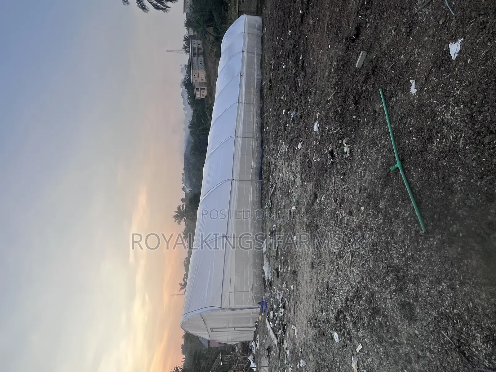 Greenhouse Construction