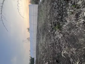 Greenhouse Construction
