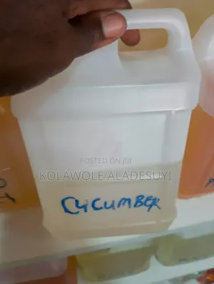 Cucumber Fragrance