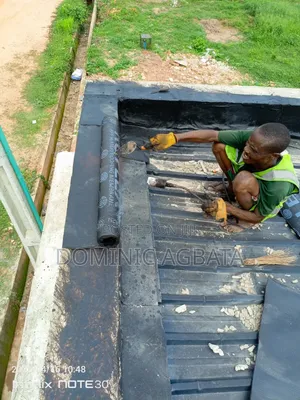 Charismatic Waterproofing Expert