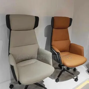 Executive Director Chair