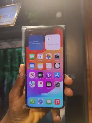 Apple iPhone 11 Pro Max 64 GB Gray