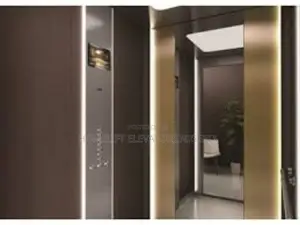 Luxury Home Elevator Disability