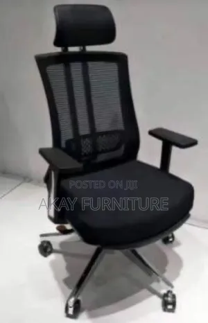 Mesh Ergonomic Chair