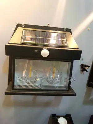 Solar Street Light Double Bulbs One Among All Till Morning