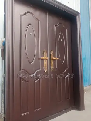 Luxury Steel Door