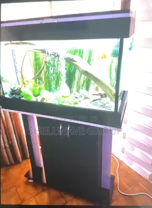 Complete Aquarium Set With Free Fishes