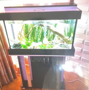 Complete Aquarium Set With Free Fishes