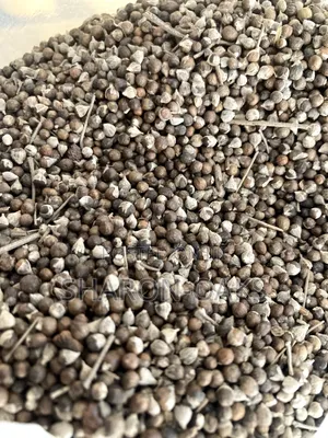 Vitex Chasteberry Seed 1kg