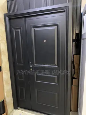 Steel Door
