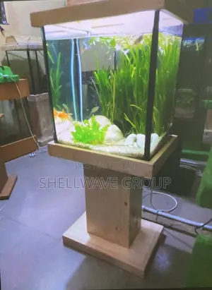 Complete Aquarium Set With Free Fishes