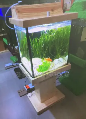 Complete Aquarium Set With Free Fishes