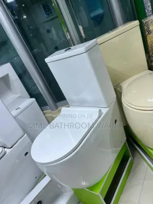Standard Executive Wc Toilet Seat and Basin