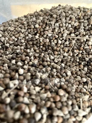 Vitex Chasteberry Seed 100g