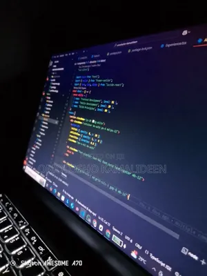 Software Development