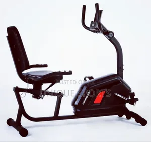 Premium Imported Recumbent Bike