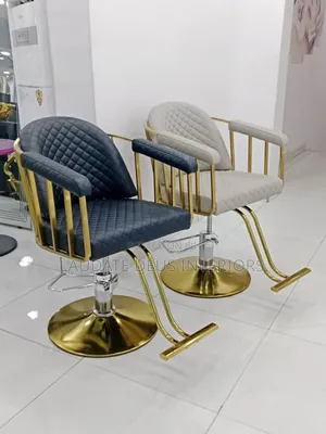 Pure Leather Saloon Chair