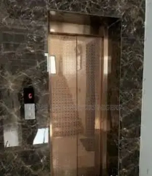 Passenger Energy-Saving Lift