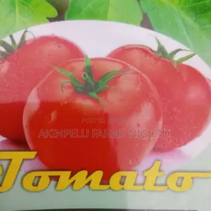 Hybrid Tomato Seed