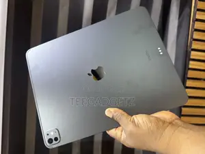 Apple iPad Pro 13 (2024) 256 GB Gray
