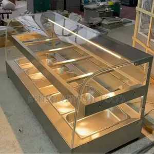 Foreign Food Display Warmer