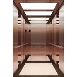Small 2-6 Floor Indoor Home Lift Elevator