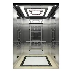 250kg Commercial Residential Elevator