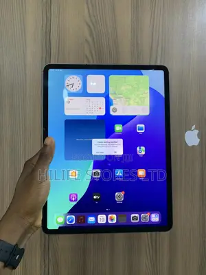 Apple iPad Pro 12.9 (2021) 256 GB Gray