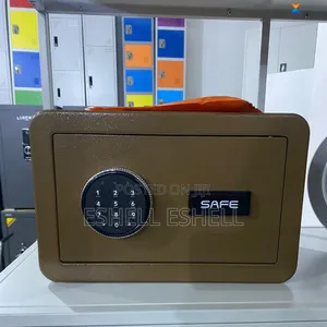 Biometric Room Safe