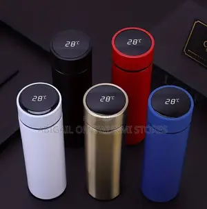 Temperature Water Flask