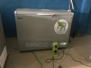 318 L Bona Freezer Solar Ac Dc