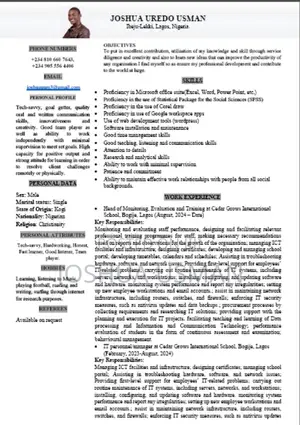 It Support/Data Analyst