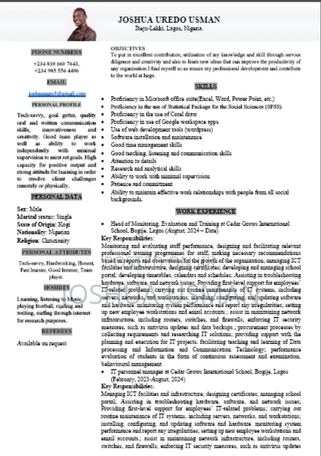 It Support/Data Analyst