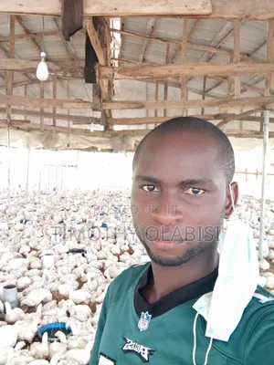 Experienced Poultry, Feedmill and Fish Farm Manager