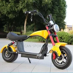 Luxury Electric Bicycle