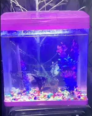 11liters Complete Aquarium Set With Decor and Fishes
