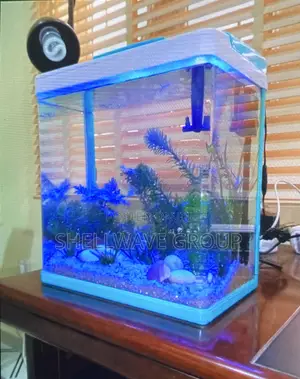 24liter Aquarium Set With Decor and Fishes