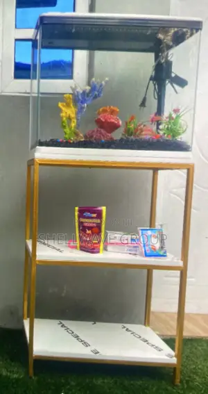 64l Imported Aquarium Complete With Decor and Fishes